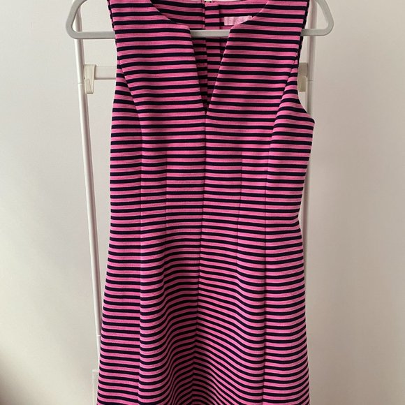 Lilly Pulitzer Brielle fit & flare dress Hotty Pink Ottoman Stripe - Picture 14 of 14